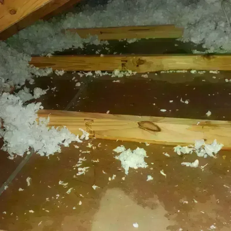 Attic Water Damage in Burnsville, NC