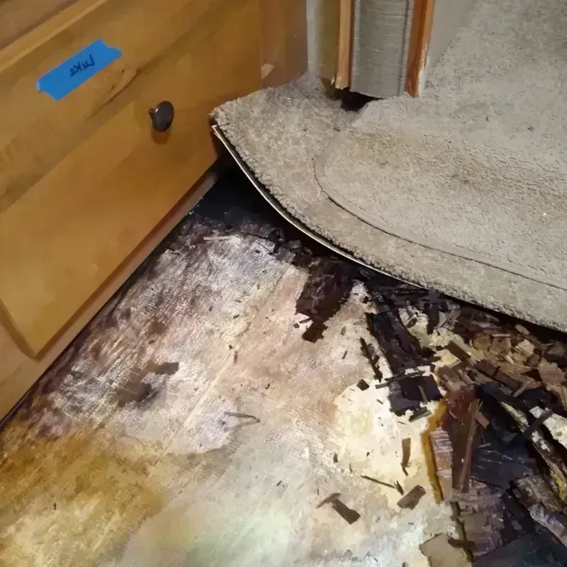 Wood Floor Water Damage in Burnsville, NC